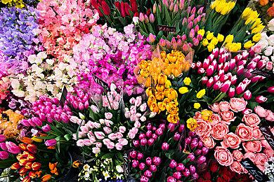 《生化危机9》新女主高清立绘 全新截图欣赏